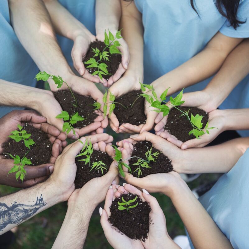 Group of volunteer with sprout for growing