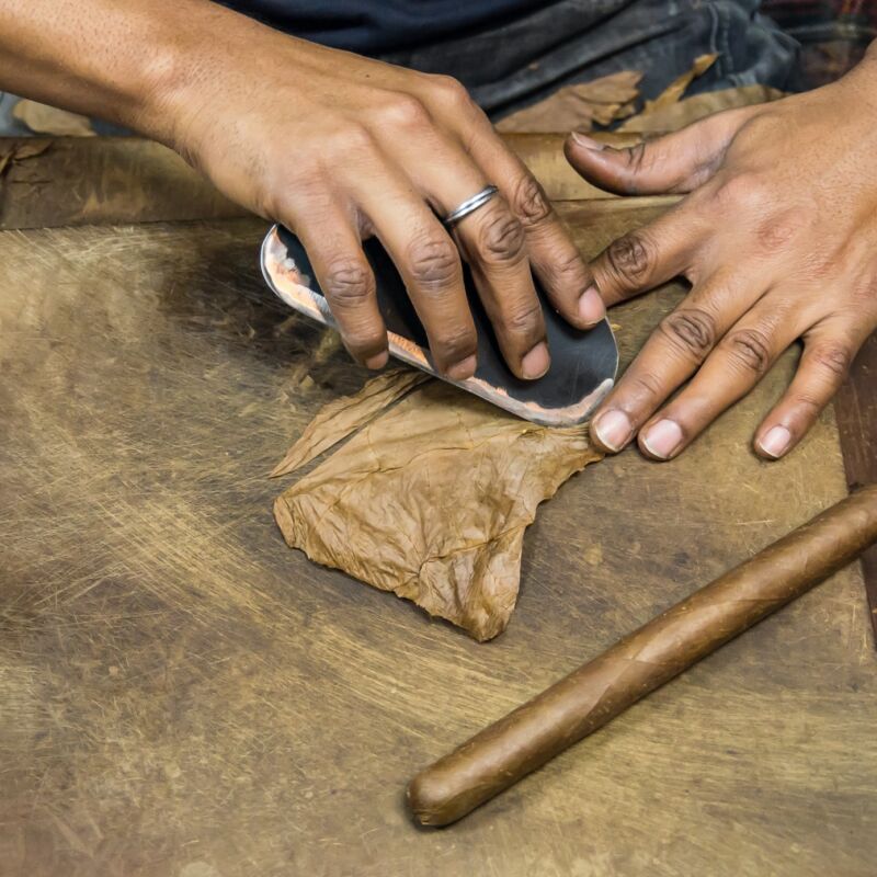 man preparing cuban cigars