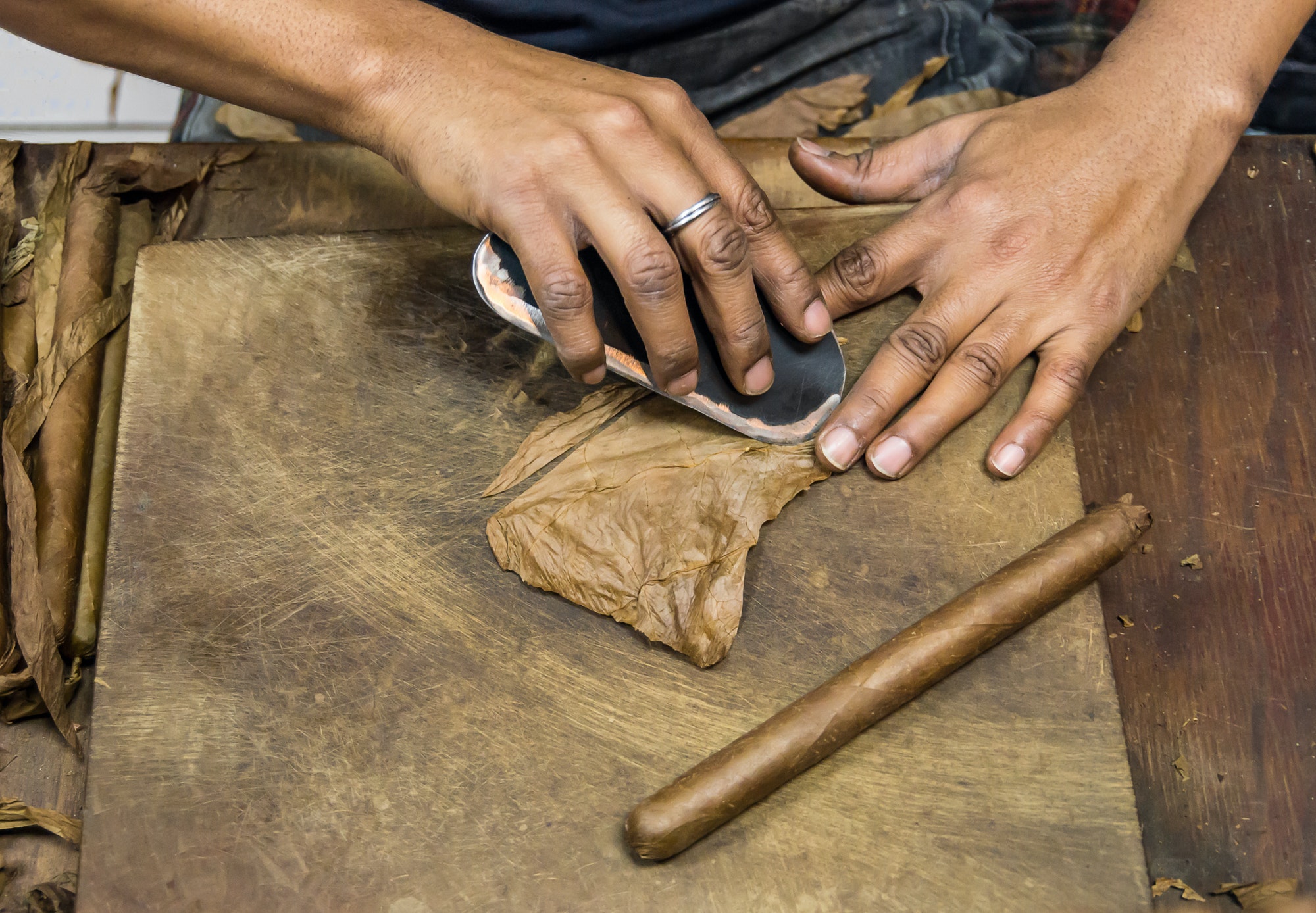 man preparing cuban cigars